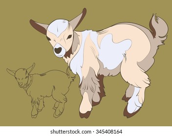 Two vector images of a small mountain 
goatling