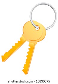 Two vector key against the white background