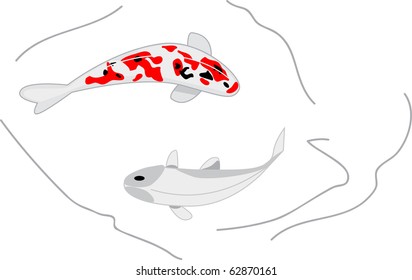 two vector koi carps: black and red spotted and white