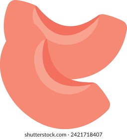 Two vector peach, nectarine or apricot wedges, slices