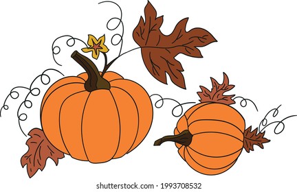 Two vector pumpkin on a white background isolated