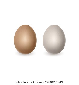 Two vector realistic white and brown eggs. Chicken eggs isolated on white background