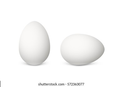 Two vector realistic white eggs. Isolated eggs on white background.