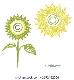 Two vector sunflowers in skeching style