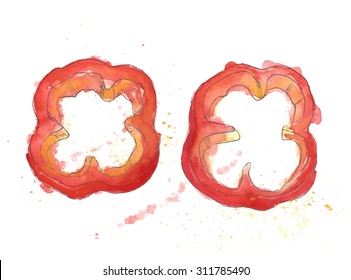 Two Vector watercolor ring pieces of red bell pepper isolated on white background. Healthy food, vegetable. Illustration hand painting by watercolor on the paper.