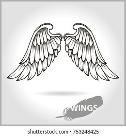 Two vector wings with a gray feather, an inscription and an inscription