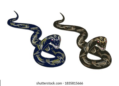 two venomous snakes.isolated on a white background. vector illustration.