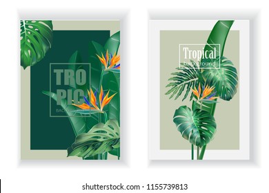 Two vertical vector banner with realistic detailed tropical leaves  and Strelitzia flower. Card template design. Design elements for cosmetics products, wellness, spa and floristic shop.