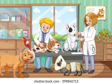 Two vets working in the animal hospital illustration