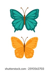 Two vibrant butterflies, one teal and one orange, with intricate wing patterns. Perfect for nature themed designs, childrens products, or spring and summer decor. Vector illustration