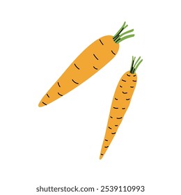 Two vibrant orange carrots with leafy greens on top isolated on a white background