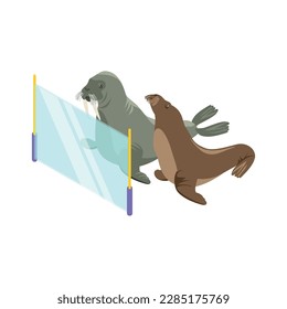 Two walruses behind glass fence in zoo isometric vector illustration