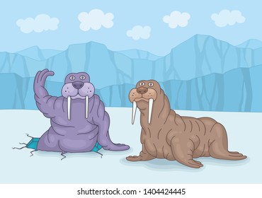Two walruses on ice. Funny cartoon and vector illustration