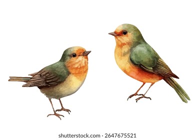 Duas ilustrações vetoriais de aves aquarelas, vibrantes e serenas, simbolizam a beleza suave e a tranquilidade da natureza.