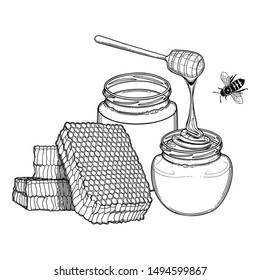Two watercolor bottles of different sorts of honey, decorated with honeycombs and dipper. Isolated vector design