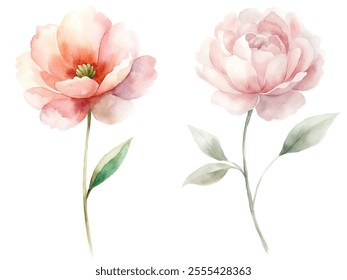 Two watercolor flowers with green leaves. The flowers are arranged in a way that they are almost touching each other