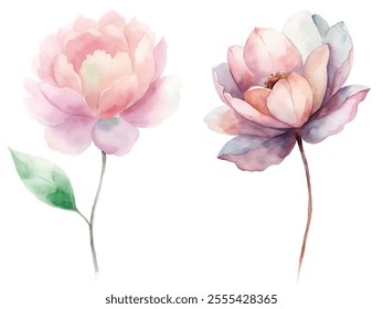 Two watercolor flowers with pink petals and green leaves. The flowers are in a vase