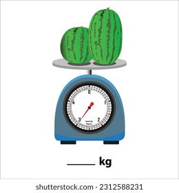 two Watermelon 3kg on a weighing scale, isolate on white background. Weight balance vector illustration. Equilibrium comparison sign business concept. Food weight kitchen illustration.