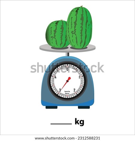 two Watermelon 3kg on a weighing scale, isolate on white background. Weight balance vector illustration. Equilibrium comparison sign business concept. Food weight kitchen illustration.