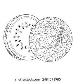 Dos mitades de sandía. Arte de línea de sandía de corte maduro. Dibujado a mano Estilo de doodle de moda aislado mitad fruta postre natural orgánico, dulce saludable Fruta de verano en rodajas. para colorear Ilustración vectorial de página