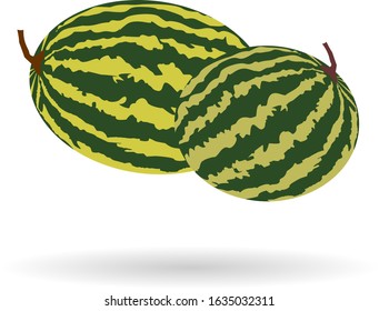 Two watermelon with shadow on white background. Vector fruit illustration icon with flat design.