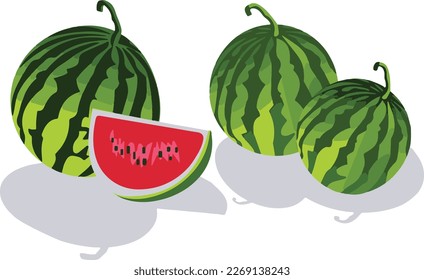 two watermelons icon with shadow Flat illustration of sliced watermelon as a vector icon for web design