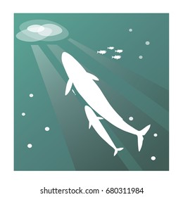 two whales float up from the depths