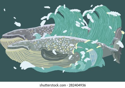 Two whales in the ocean