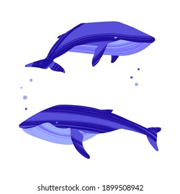 Two whales. Ocean animals in trendy flat style. Hand drawn marine mammals with decorative dry brush texture. Vector illustration isolated on white background.