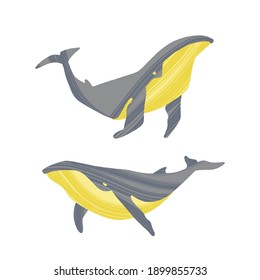 Two whales. Ocean animals in trendy flat style. Hand drawn marine mammals with decorative dry brush texture. Vector illustration isolated on white background.