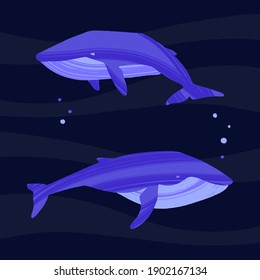 Two whales. Ocean animals in trendy flat style. Hand drawn marine mammals with decorative dry brush texture. Vector illustration isolated on dark background.