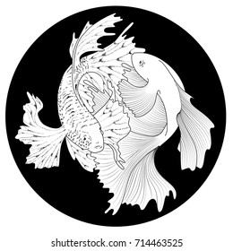 Two white betta fish fighting on black round icon. Flat vector illustration