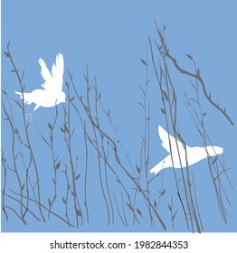 
Two white birds on a background of blue sky and bushes
