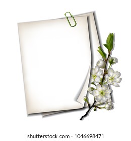 Two white blank sheets of paper with blossoming cherry branch isolated on white background, top view. Spring vector card or banner, Seasonal poster with cherry blooming. Vector illustration