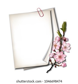 Two white blank sheets of paper with blossoming sakura branch isolated on white background, top view. Spring vector card or banner, Seasonal poster with pink cherry blooming. Vector illustration