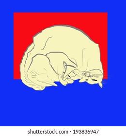 Two white  cats sleeping on a red and blue background.