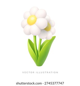 Two white daisy flowers with green leaves. Minimal pastel 3D spring vector illustration isolated on white background