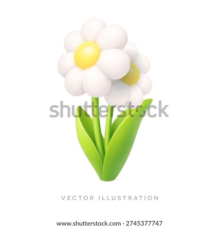 Two white daisy flowers with green leaves. Minimal pastel 3D spring vector illustration isolated on white background