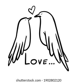 Two white dove birds couple in love. Love birds. Hand drawn vector illustration isolated on a white background. 