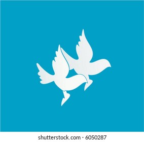 Two white doves flying together in the one direction