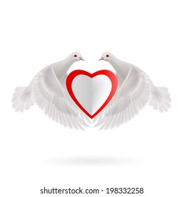 Two white doves holds white-red heart in wings