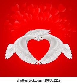 Two white doves makes the shape of the wings of the red heart