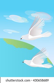 Two white doves on earth background