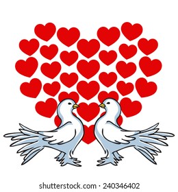 two white doves vector picture