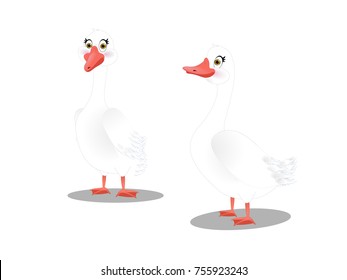 Two White Geese - Cartoon Vector Image