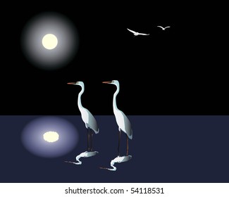 Two white herons against the night lunar sky