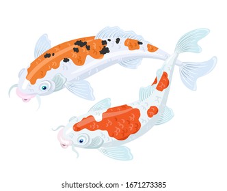 Dos carpas koi japonesas blancas con manchas rojas y negras. Aislado sobre un fondo blanco. Ilustración vectorial.