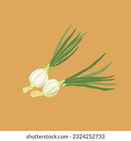 Two white onions with green feathers on brown background. Vector decorative illustration with textures in flat style. Concept of growing organic regional farm vegetables.