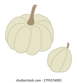 Dos calabazas blancas en dibujos animados de estilo plano. Ilustración vectorial dibujada a mano Aislada sobre fondo blanco. La temática de los jardines.