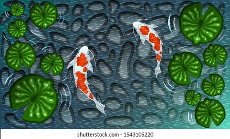 Two white with red spots Koi fishes among green Lotus leaves in water with a bottom of gray stones cobblestones. Japanese carp top view. Colorful vector illustration.
